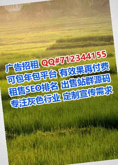 天峨捐卵会计服务经营部